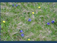 20030531VH00260_t.jpg