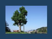 20070713ST200300_t.jpg