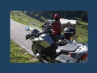 20070713ST200600_t.jpg