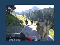 20070713ST200610_t.jpg