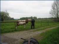 20100513VT00340_t.jpg