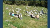 20111003brnnstn00290_t.jpg