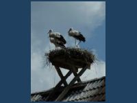 20180715-ST-Allgaeu00390_t.jpg