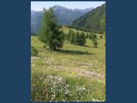20190725-MT_Steiermark00070_t.jpg