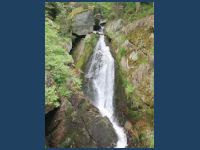 20250605_MT-Yspertal00050_t.jpg