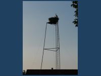 20250703_ST_Tschechien-Boehmen00400_t.jpg