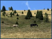 20260910_HT-Suedtirol-Trentino01050_t.jpg